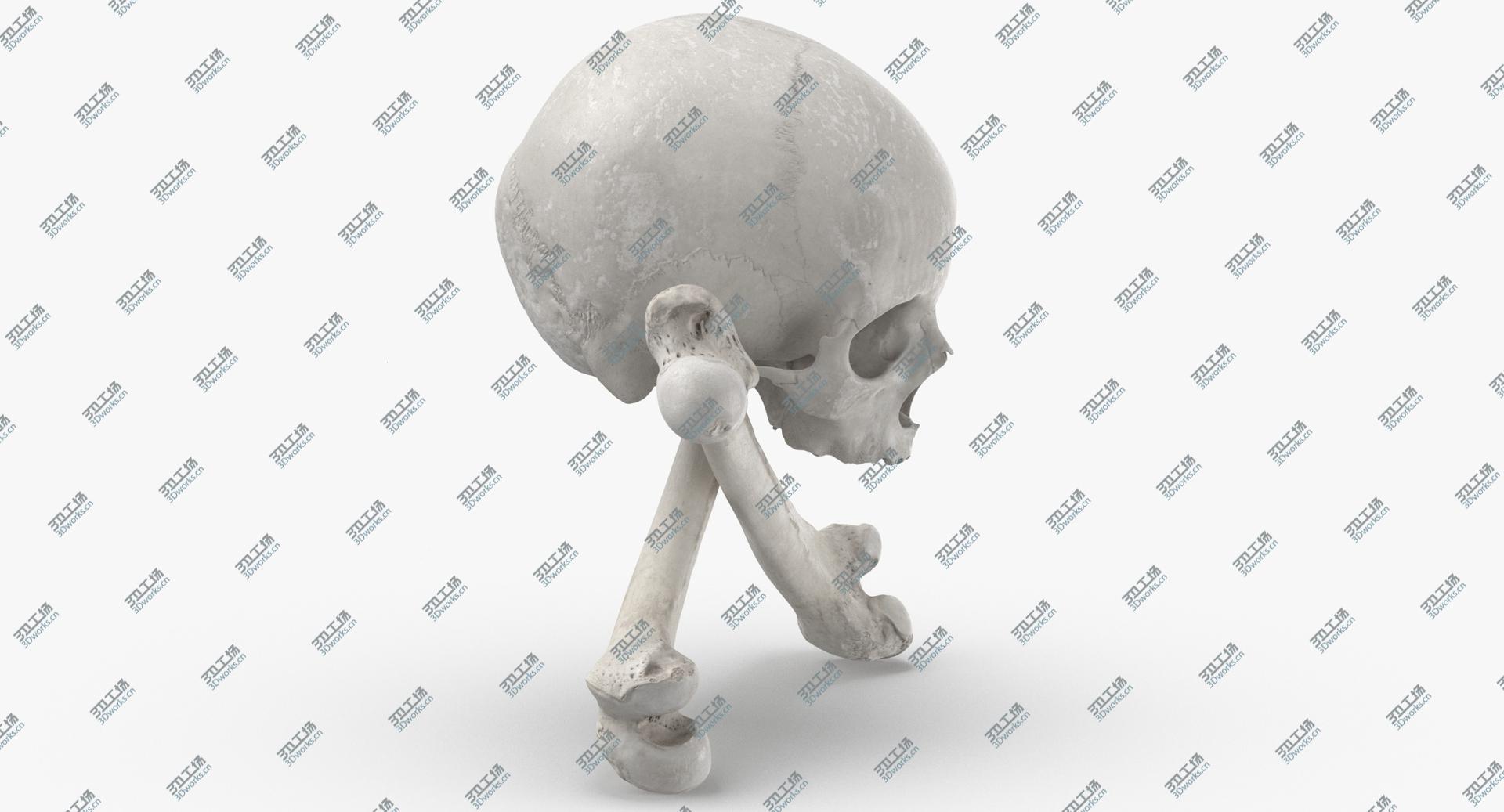 images/goods_img/202104091/Pirate Skull and Bones Composition 02 White 3D/4.jpg